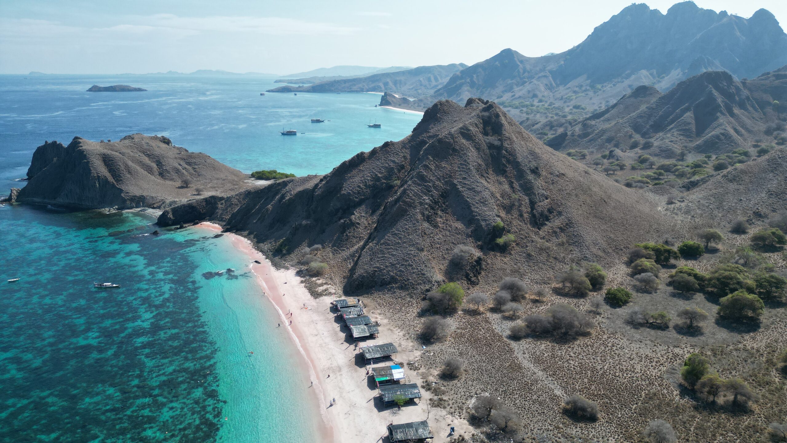 Komodo Island Tour: My Unforgettable Liveaboard Adventure Through Dragons, Pink Beaches, and Rough Nights at Sea