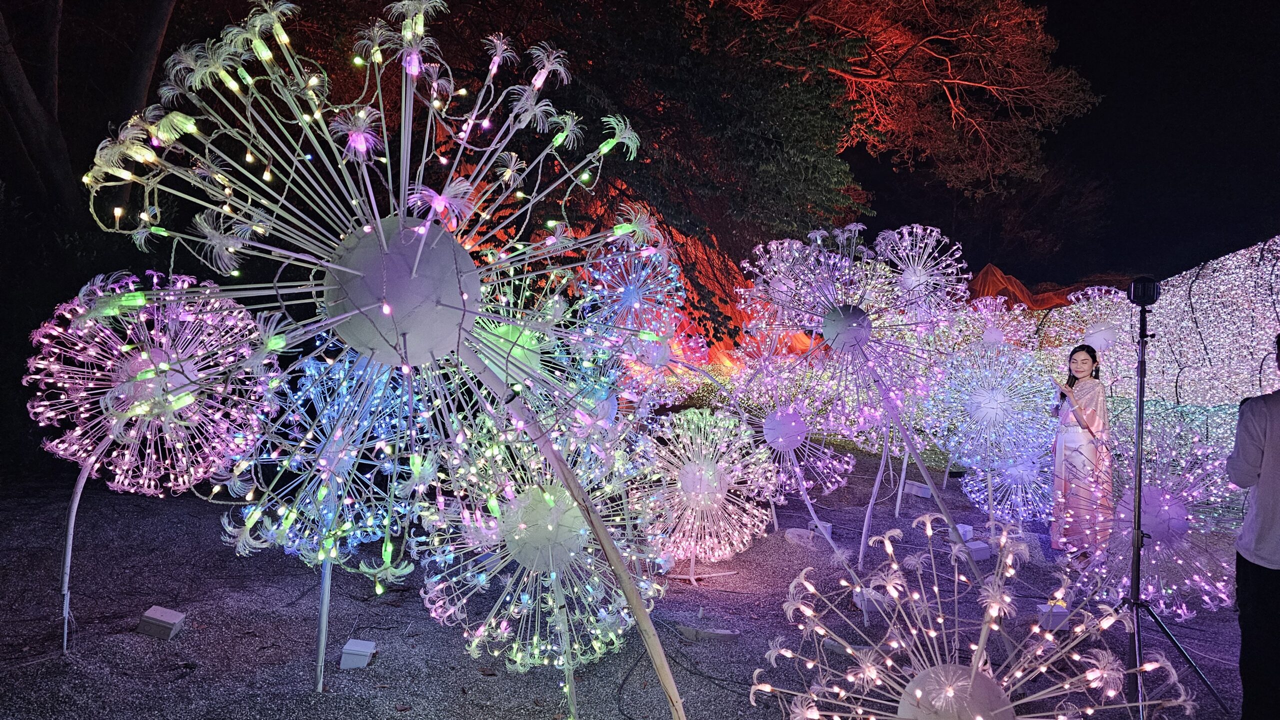 IS NASATTA PARK WINTER LIGHTS WORTH A VISIT?